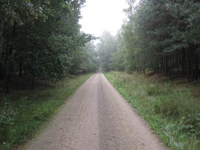 Wirtschaftsweg im 'Hohen Fläming'.