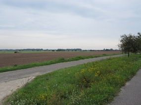 Vor Belitz / Hoher Fläming