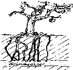 Deltadrachen_fliegen