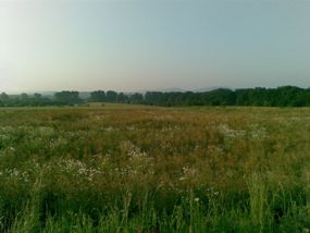 von der B99 in Richtung Neiße, Polen.