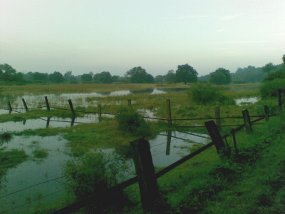 Polder im Oberbruch.