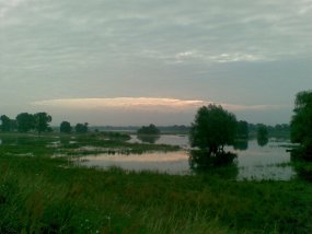 Polder im Oberbruch.