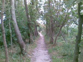 Radweg an der Steilküste.